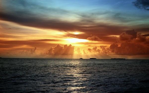 Imagen 5 Protection Insurance Agency foto