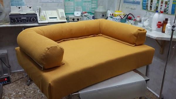 Imagen 112 AVISCAN Consulta Veterinaria foto