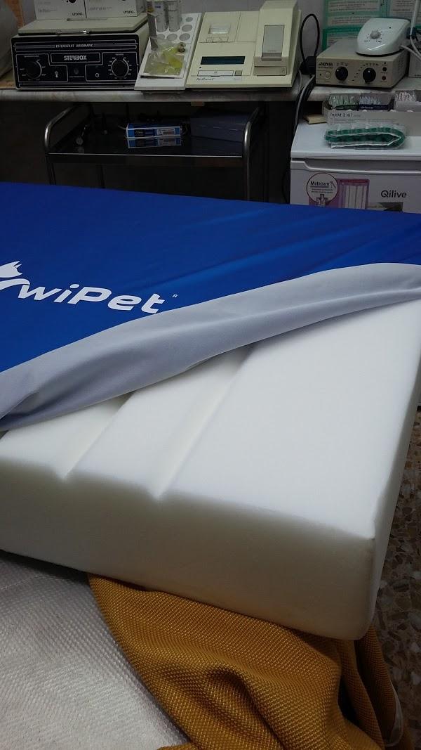 Imagen 117 AVISCAN Consulta Veterinaria foto