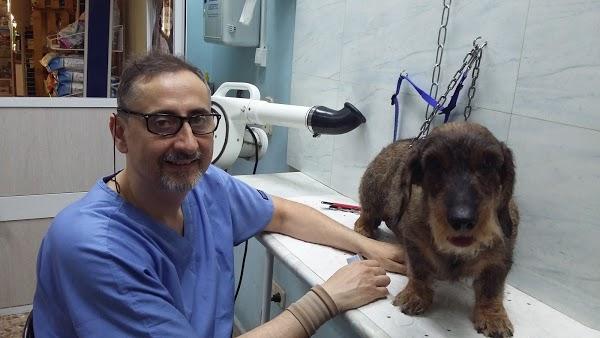 Imagen 125 AVISCAN Consulta Veterinaria foto