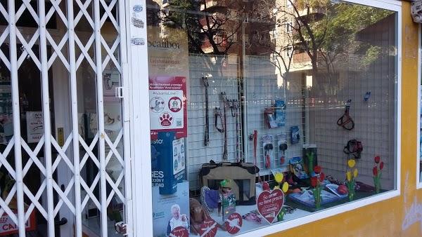 Imagen 127 AVISCAN Consulta Veterinaria foto