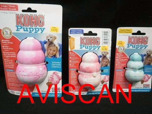 Imagen 18 AVISCAN Consulta Veterinaria foto