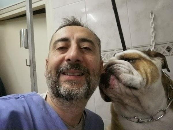 Imagen 20 AVISCAN Consulta Veterinaria foto