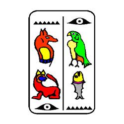 Imagen 61 AVISCAN Consulta Veterinaria foto