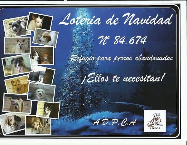 Imagen 75 AVISCAN Consulta Veterinaria foto