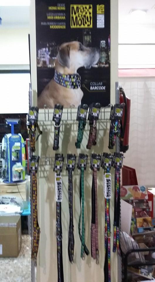 Imagen 78 AVISCAN Consulta Veterinaria foto