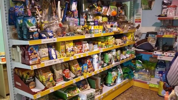 Imagen 83 AVISCAN Consulta Veterinaria foto