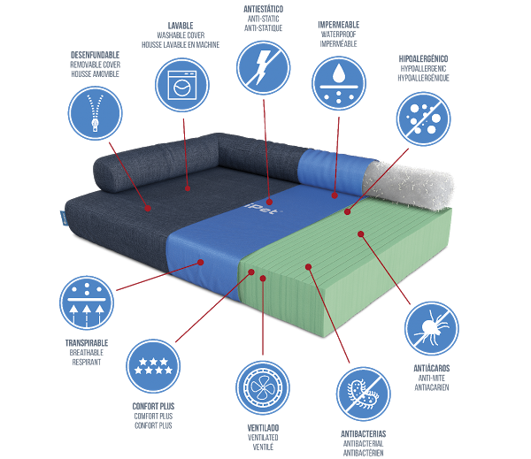 Imagen 85 AVISCAN Consulta Veterinaria foto