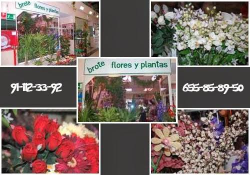 Imagen 1 PerHnaNingenieros foto