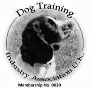 Imagen 3 teydesc foto