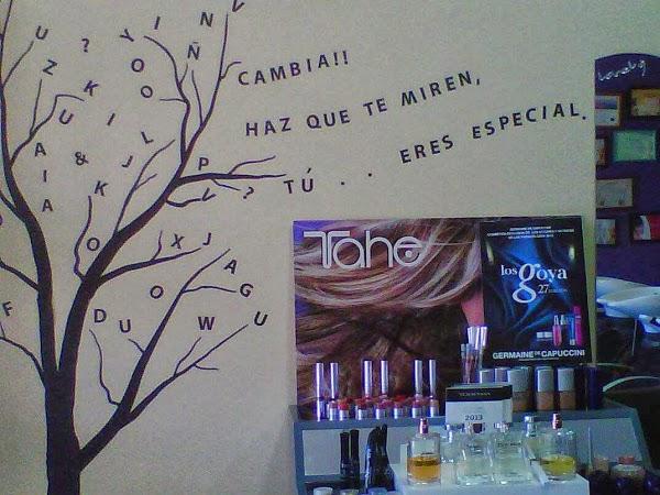 Imagen 13 Théâtre du Gymnase Marie Bell foto