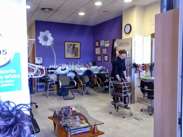 Imagen 14 Théâtre du Gymnase Marie Bell foto