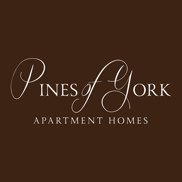 Imagen 6 Théâtre du Gymnase Marie Bell foto