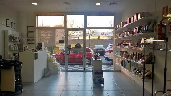 Imagen 54 Théâtre du Gymnase Marie Bell foto