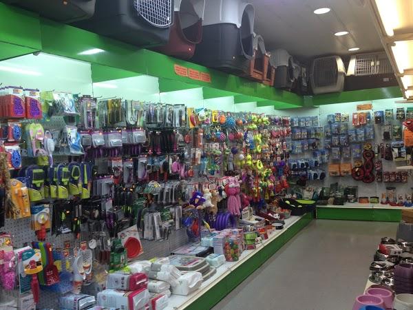 Imagen 56 Iglesia de Sta. María Ixcotel foto