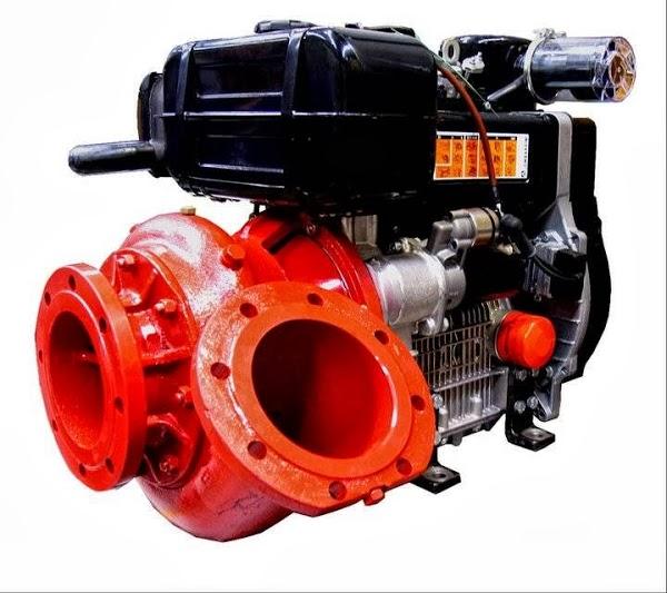 Imagen 28 La Cesta Pollos y Parrillas foto