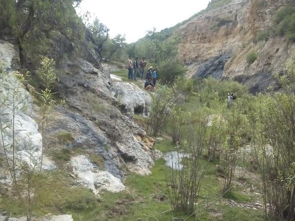 Imagen 44 Cinépolis Sendero Querétaro foto