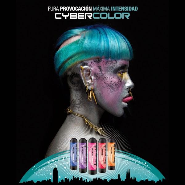 Imagen 24 Cucine Centomo (S.N.C.) foto