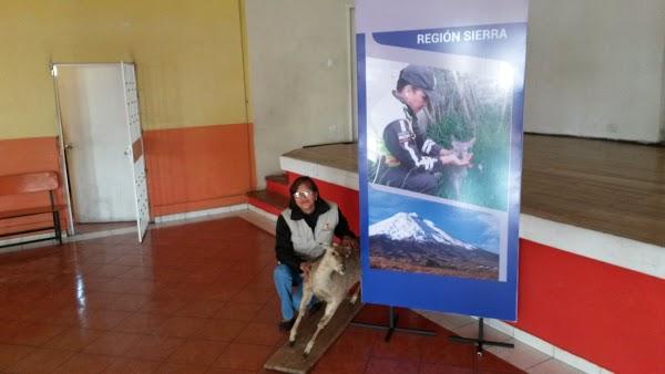 Imagen 77 Periche Profesional foto
