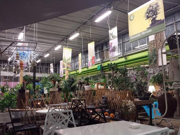 Imagen 30 C. D. Cuarte foto