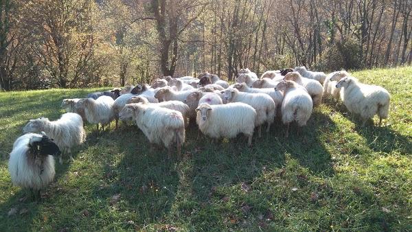 Imagen 31 C. D. Cuarte foto