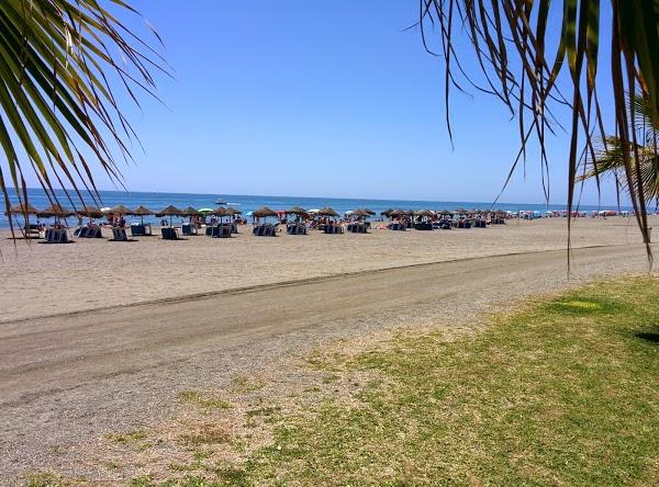 Imagen 55 bar la giralda foto