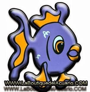 Imagen 12 Apartment Brisa 714 Cala del Moral foto