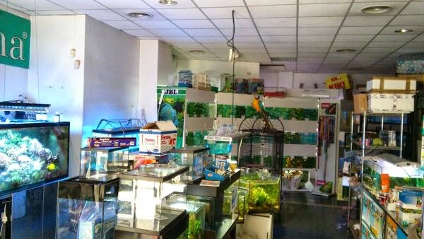 Imagen 17 Apartment Brisa 714 Cala del Moral foto