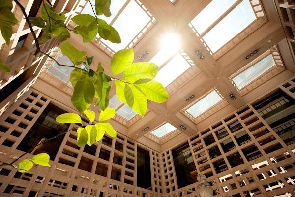 Imagen 38 Soberanía Research Station Hostel foto