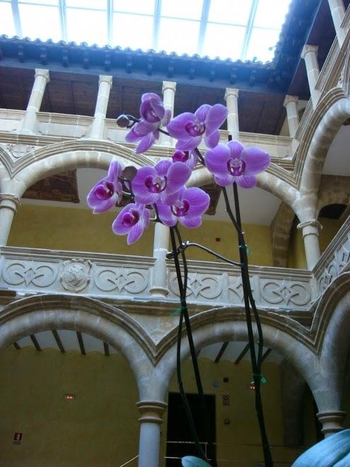 Imagen 6 Orbitec foto