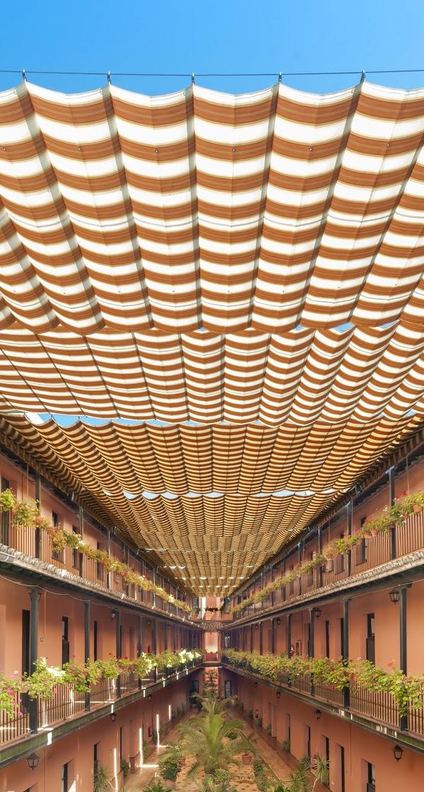 Imagen 13 Bio Bio Zaragoza foto