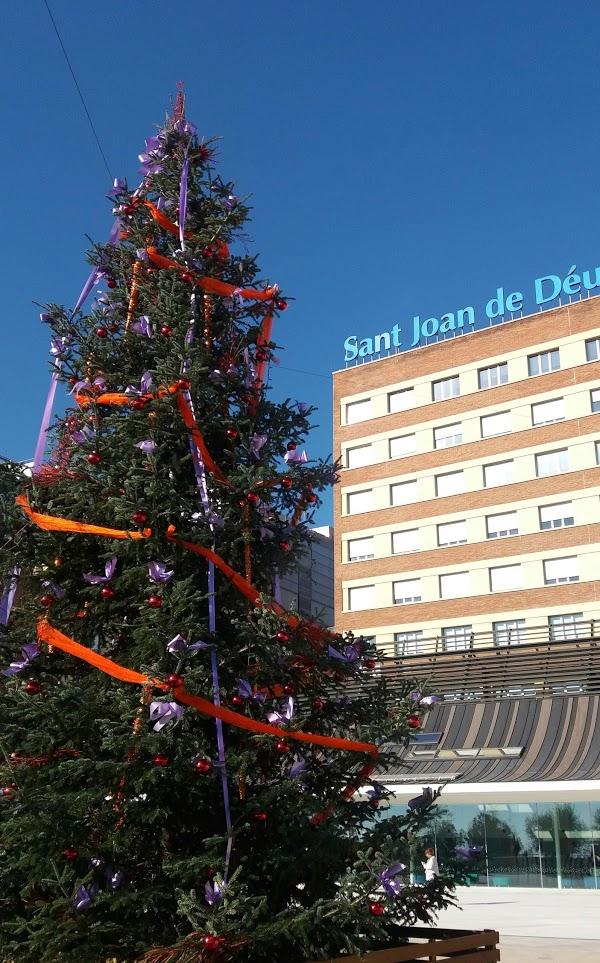 Imagen 65 Zona Esportiva Municipal Can Rull foto