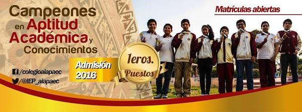 Imagen 74 COLEGIO AI APAEC foto