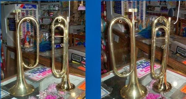 Imagen 1 Alaska foto