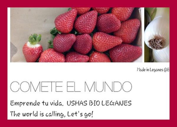 Imagen 48 Fundación Ushas- ECOtienda sede foto