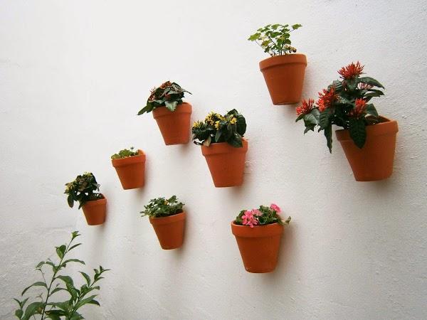 Imagen 60 Fundación Ushas- ECOtienda sede foto