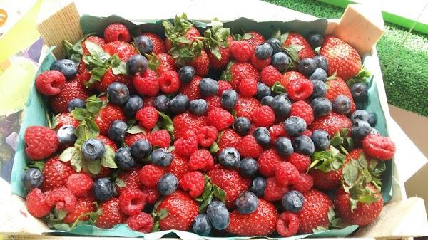 Imagen 84 Fundación Ushas- ECOtienda sede foto