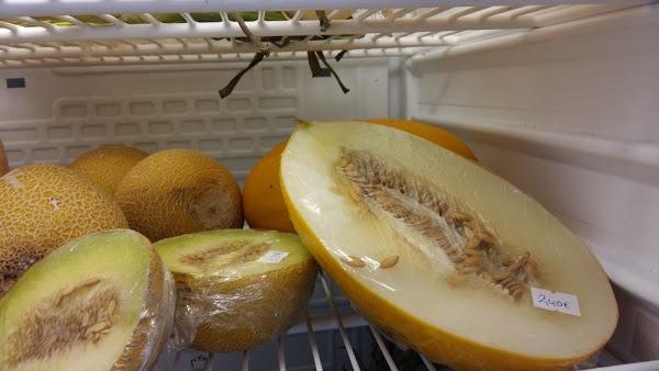 Imagen 90 Fundación Ushas- ECOtienda sede foto