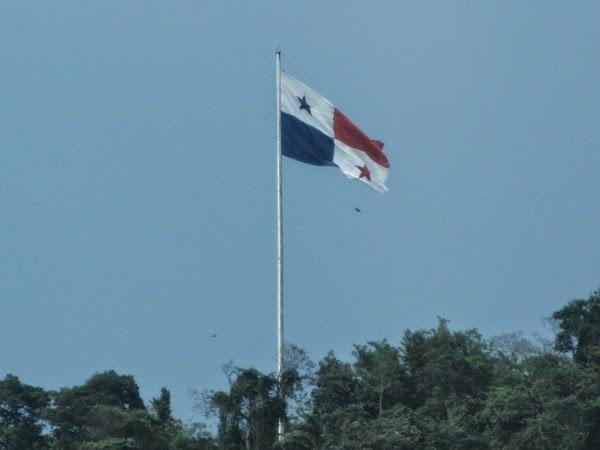 Imagen 16 WiseGuys Pizza South Buffalo foto