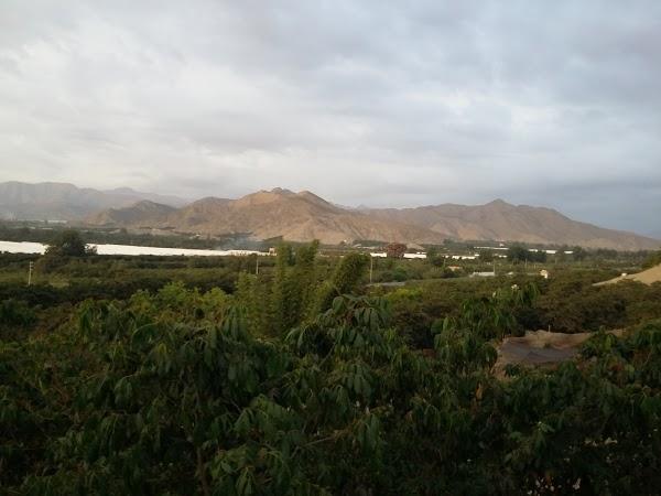 Imagen 12 Casal de Cultura Robert Brillas foto