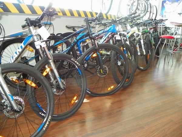 Imagen 20 La Portada foto