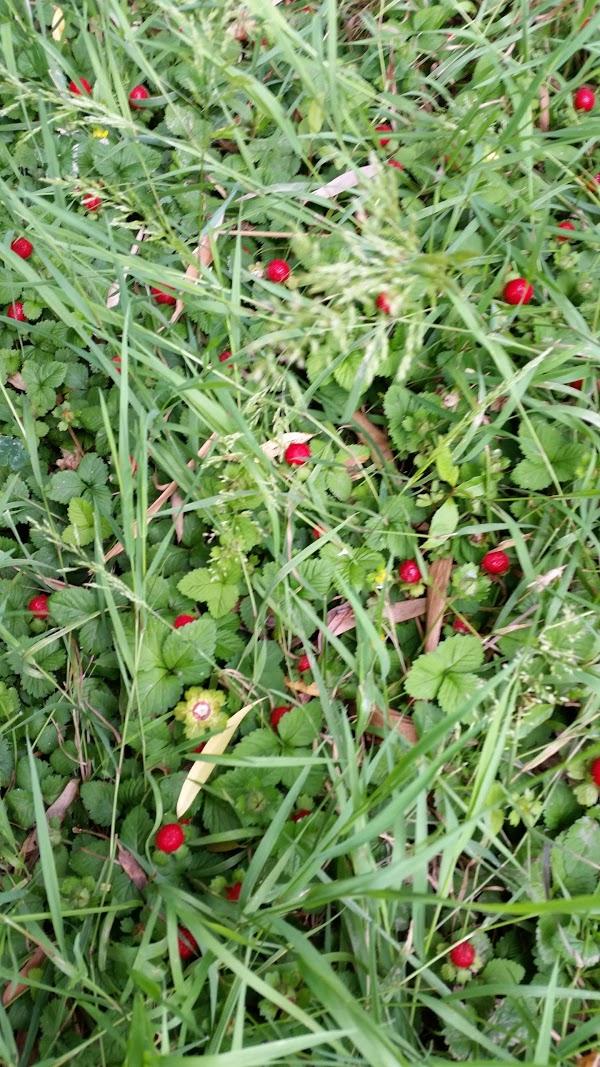 Imagen 53 ZONA BIKE foto