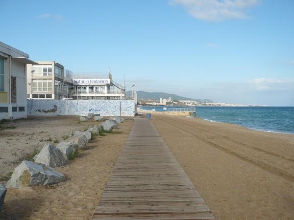 Imagen 70 Club Natació Badalona foto