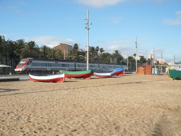 Imagen 73 Club Natació Badalona foto