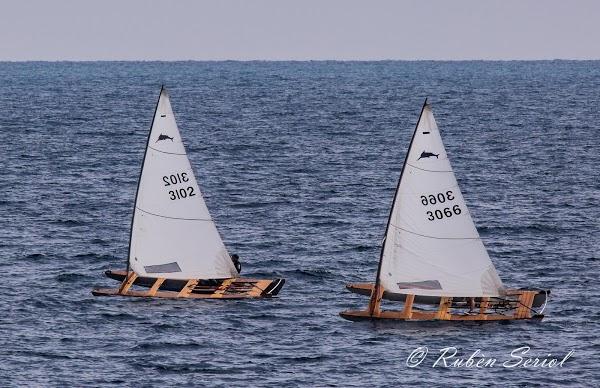 Imagen 91 Club Natació Badalona foto