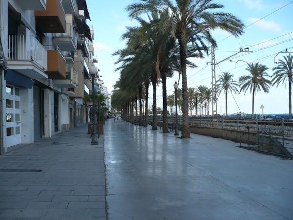 Imagen 92 Club Natació Badalona foto