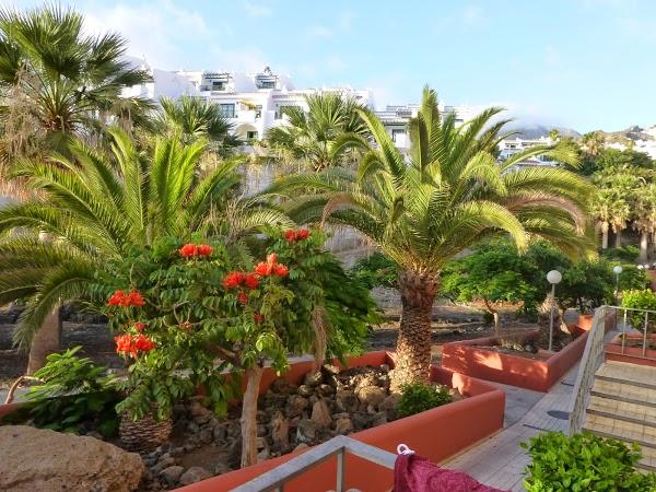 Imagen 15 Tilt Arritmico SL foto