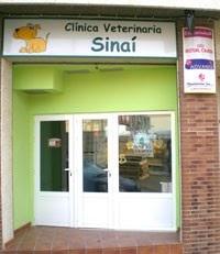 Imagen 9 Lora del Río 'Virgen de Setefilla' Centro de Salud foto