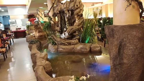 Imagen 65 Restaurante Wok Feliz foto