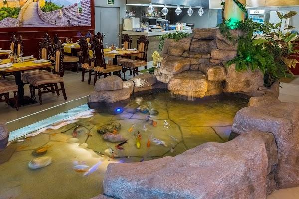 Imagen 67 Restaurante Wok Feliz foto